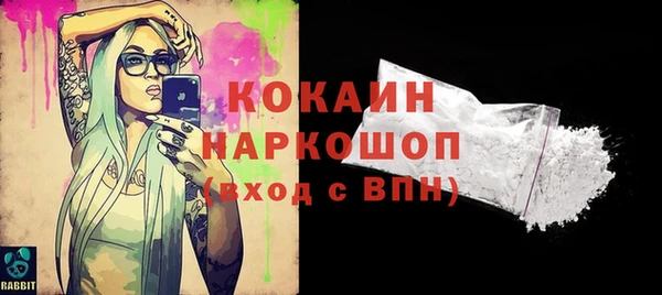 гидра Козловка